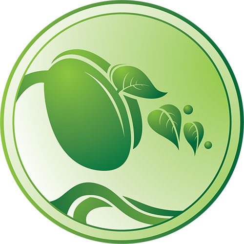 Công Ty TNHH Thương Mại Và Dịch Vụ Beanstalk Power